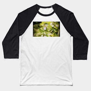 Speedwell wildflowers Baseball T-Shirt